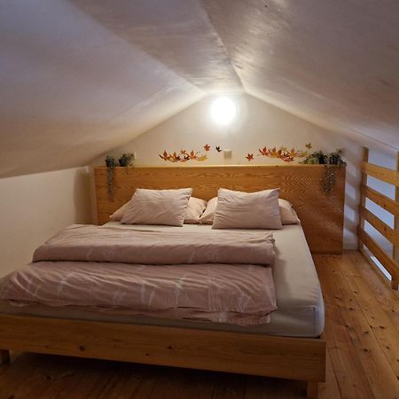 Apartmány Sophia 5 a 6 Velké Losiny Exteriér fotografie