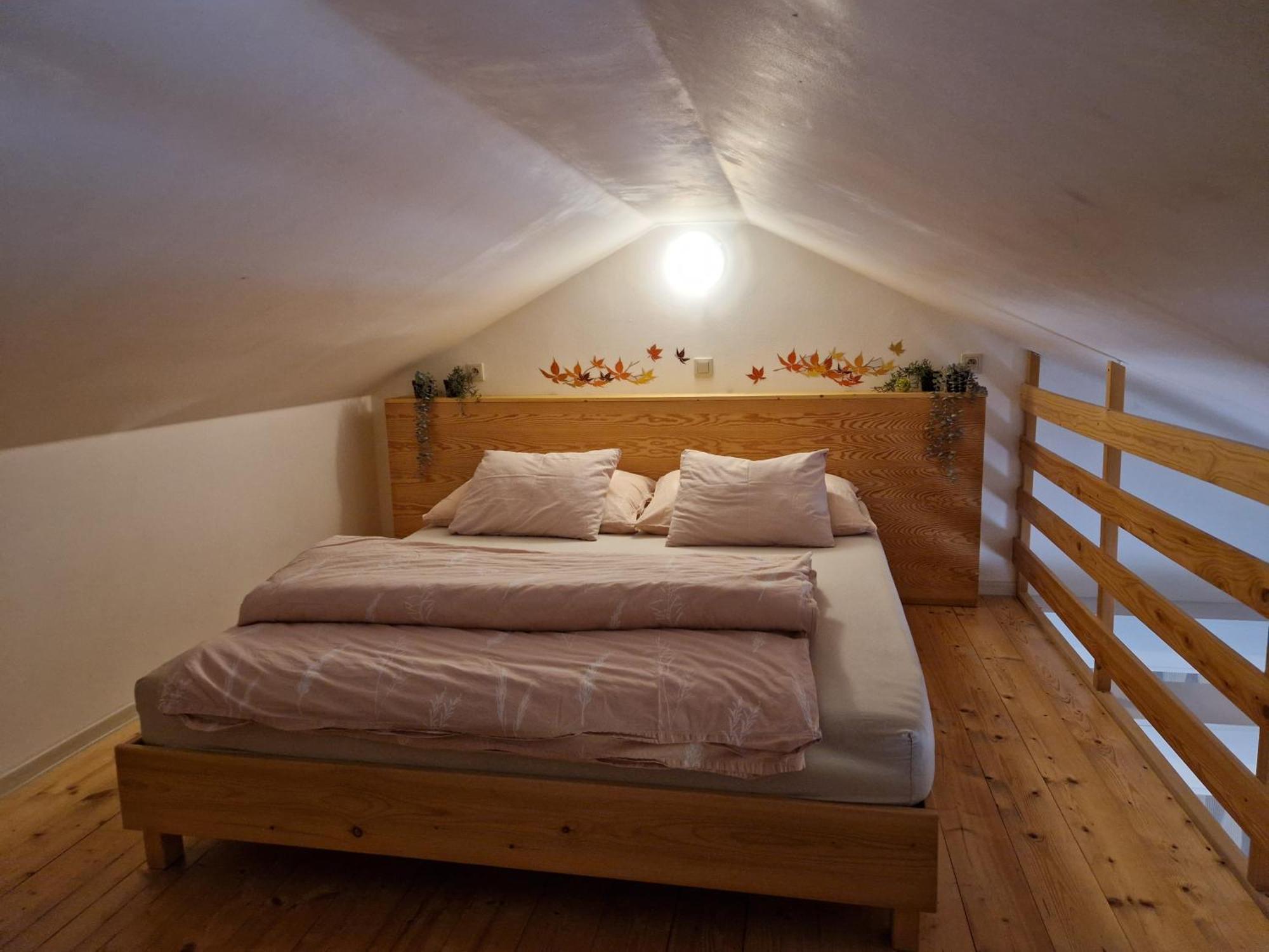 Apartmány Sophia 5 a 6 Velké Losiny Exteriér fotografie